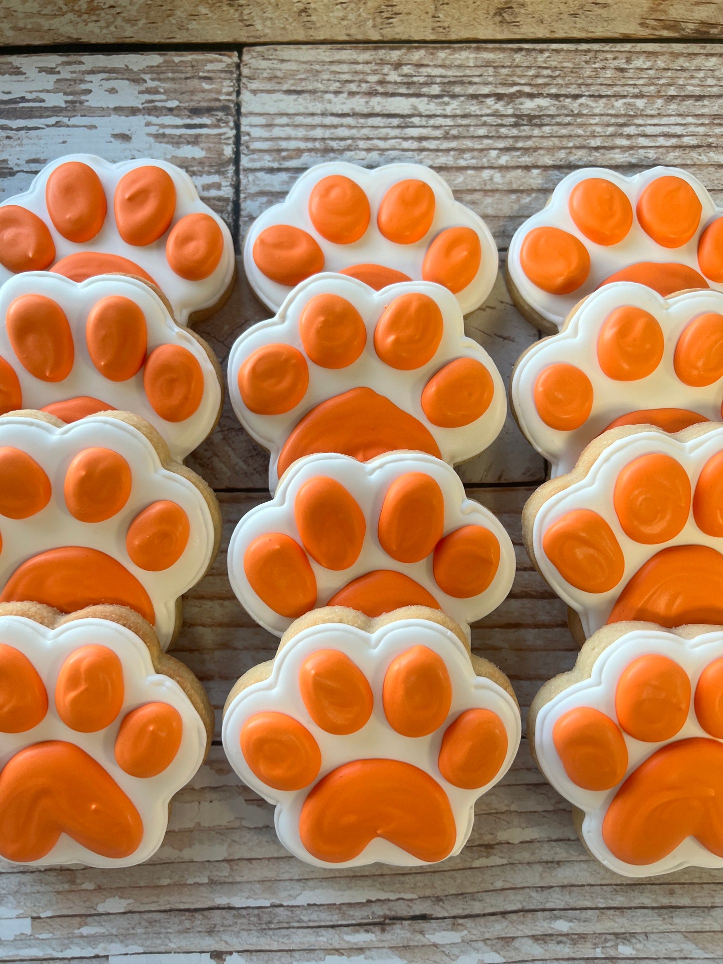 Paw Print Cookies "pick your Paw colors" Birthday Paws Cookies--12 Count