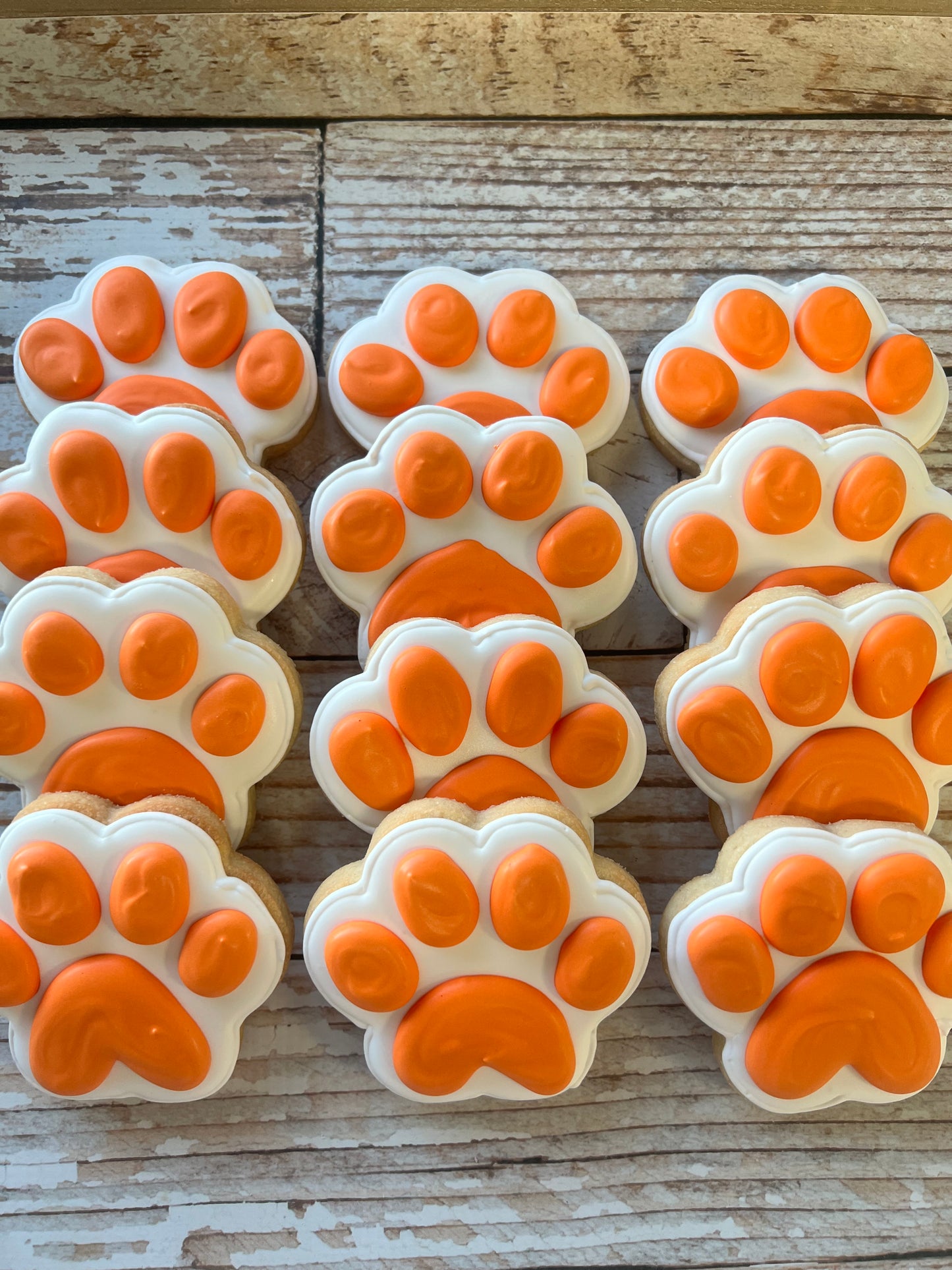 Paw Print Cookies "pick your Paw colors" Birthday Paws Cookies--12 Count