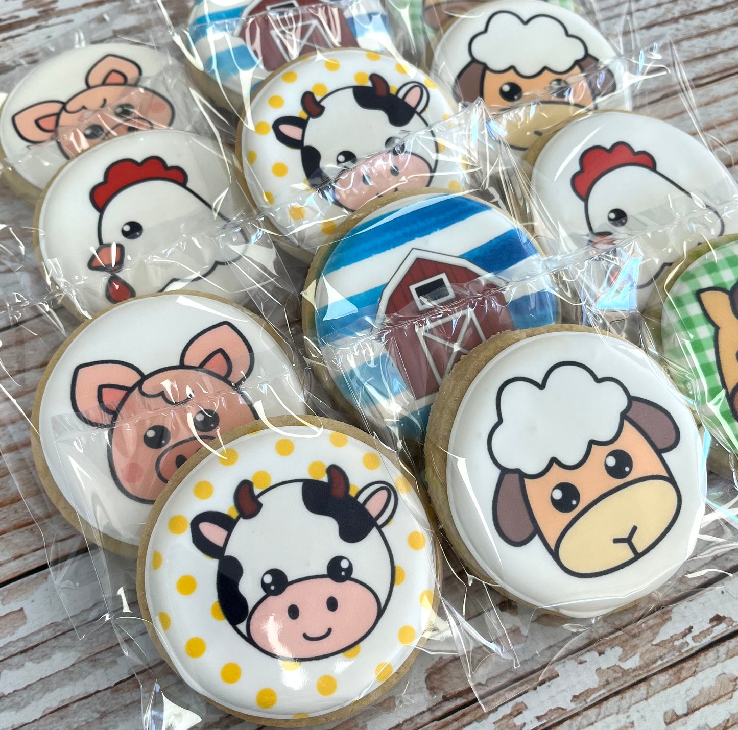 Barnyard Animal Farm Themed Cookies--12 Count