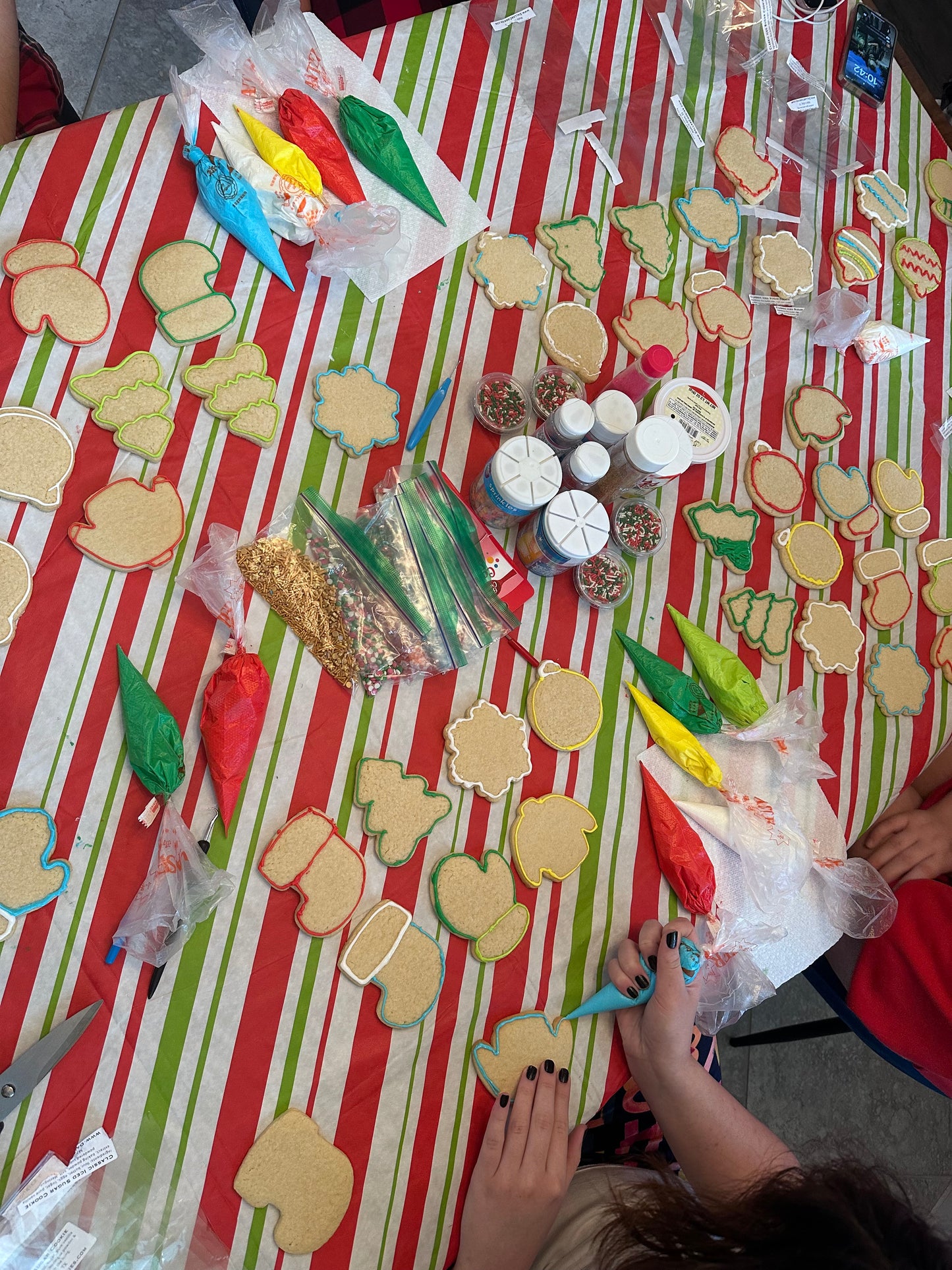 Cookie DIY Decorating Kit Christmas Holiday Cookie Assortment Deco Kit--12 Count