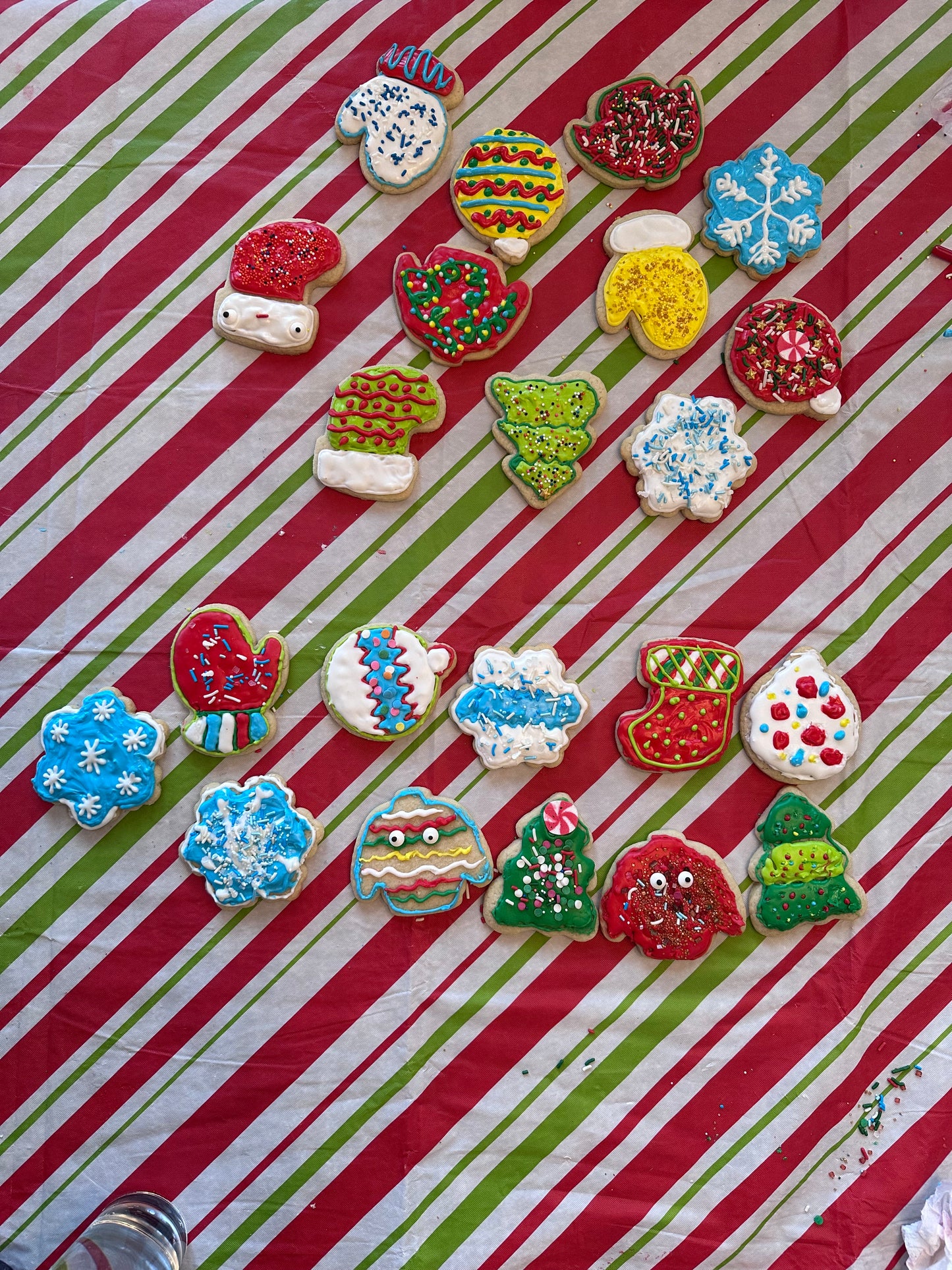 Cookie DIY Decorating Kit Christmas Holiday Cookie Assortment Deco Kit--12 Count