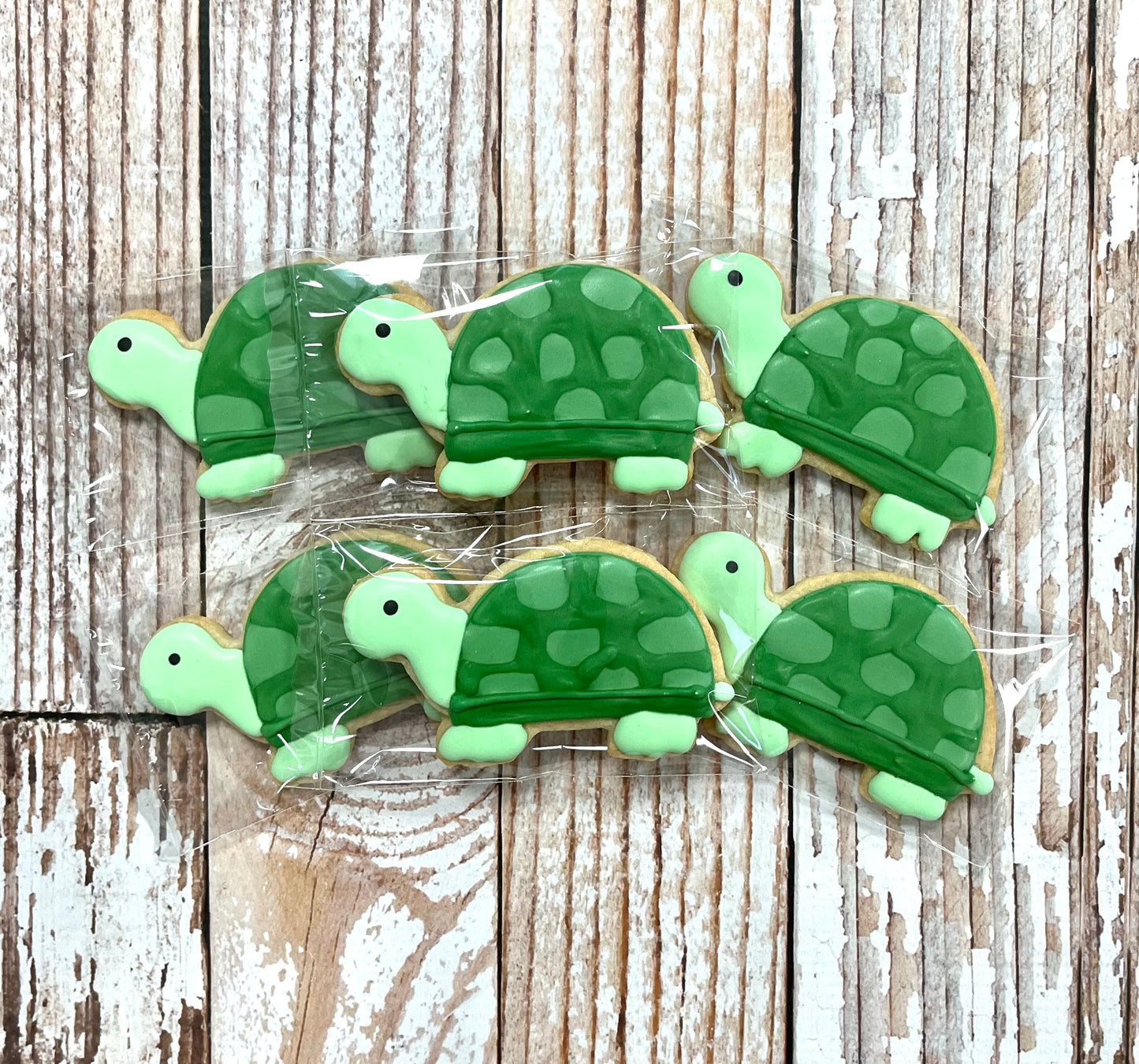Turtle Themed Cookies--12 Count