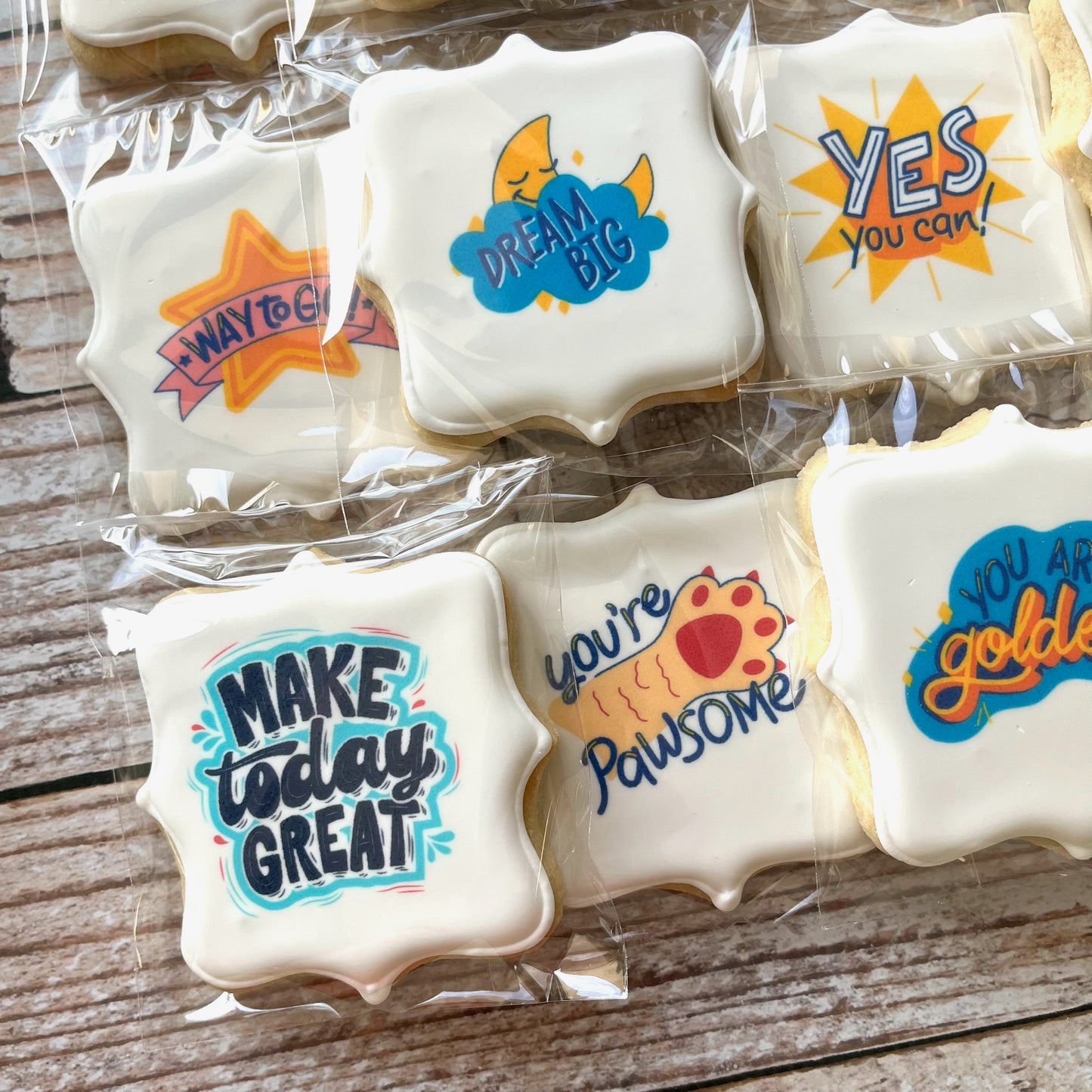 Inspirational Funny Puns Motivation Back to School Cookies Lunch Box Cookies--12 Count